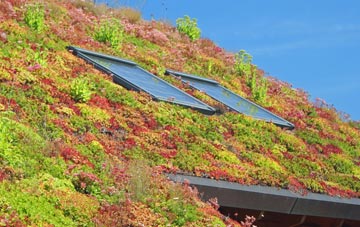 Tomatin living roof systems