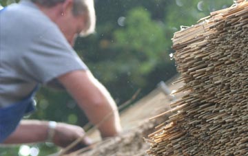 professional Tomatin thatchers