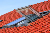 Tomatin roof window